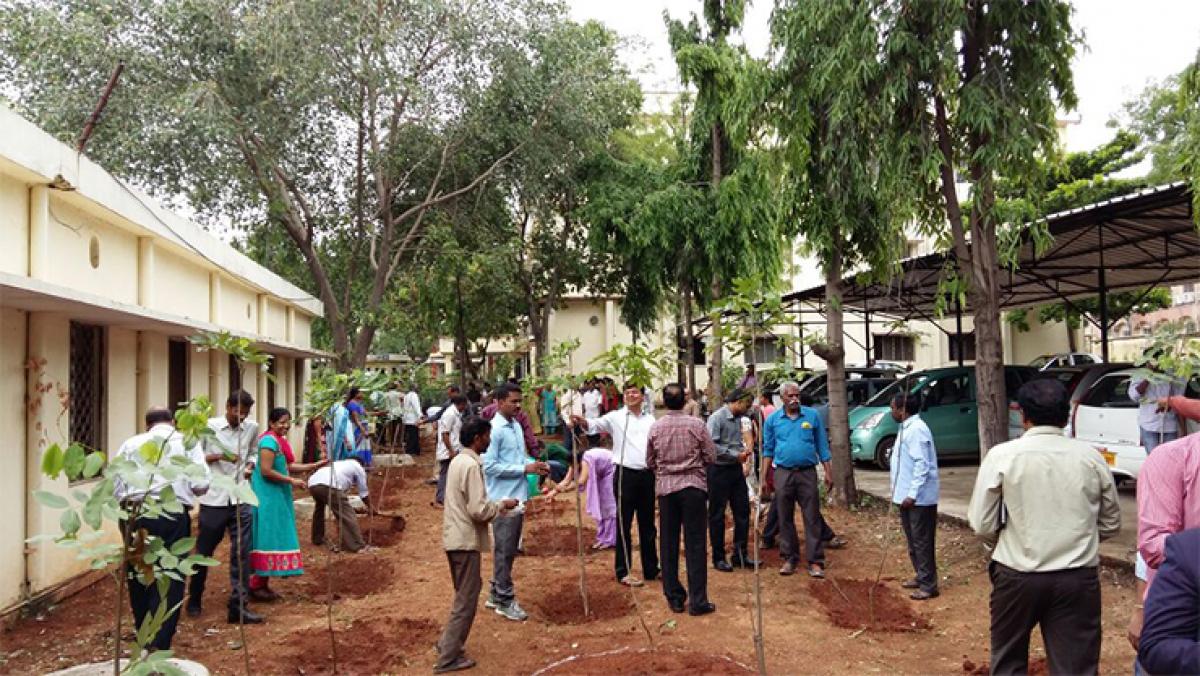 DCA takes part in Haritha Haram