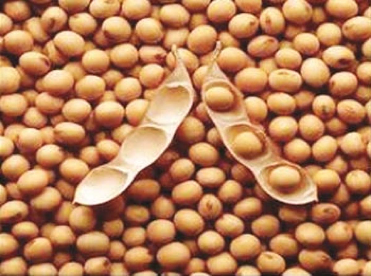 Soyabean seeds distributed to farmers