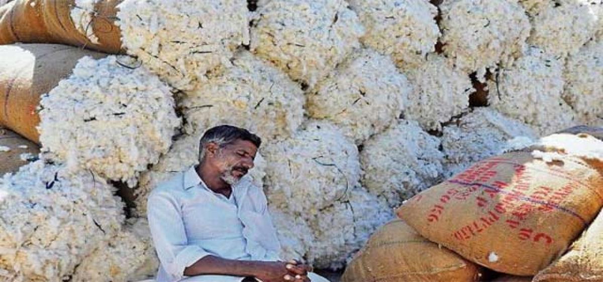 Hamalis-traders row leads to cotton market closure