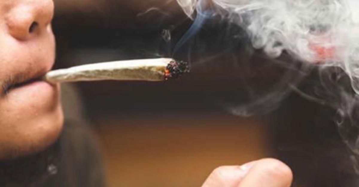 Marijuana use linked to poorer school performance