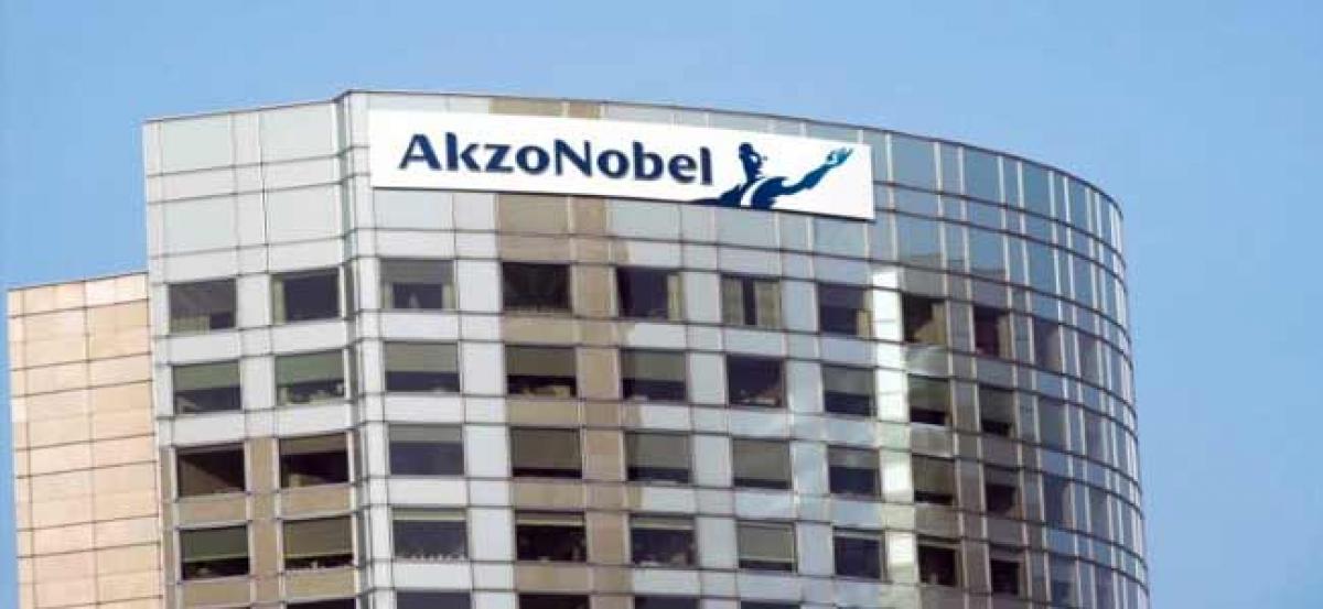 Elliot Advisors says Akzo to lose four times as many jobs without PPG takeover