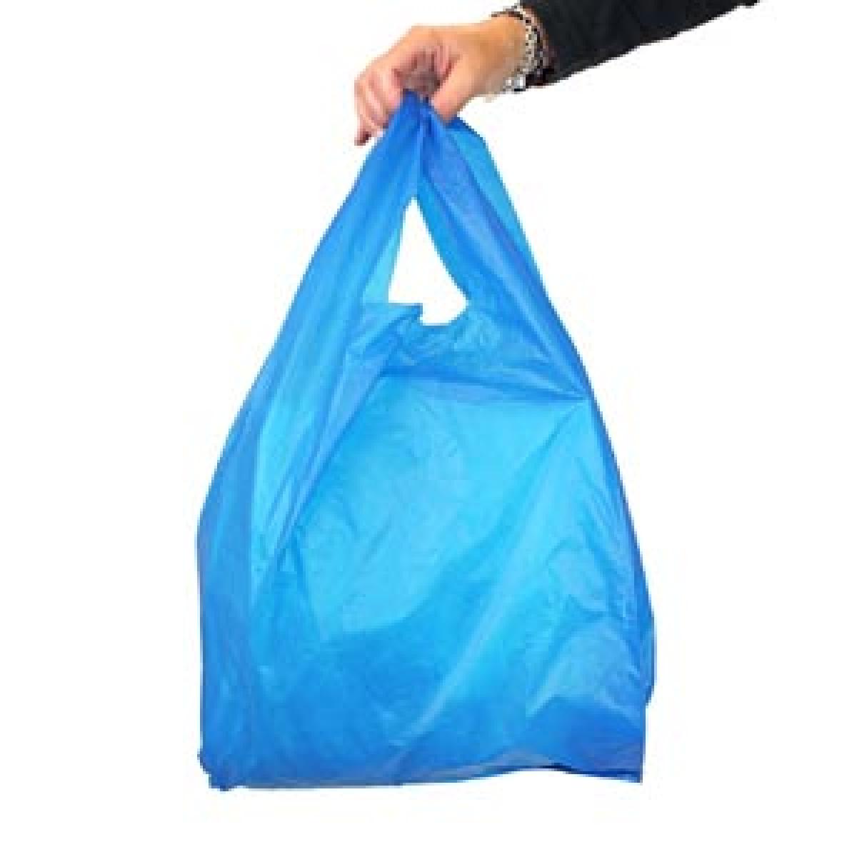 Polythene ban a must