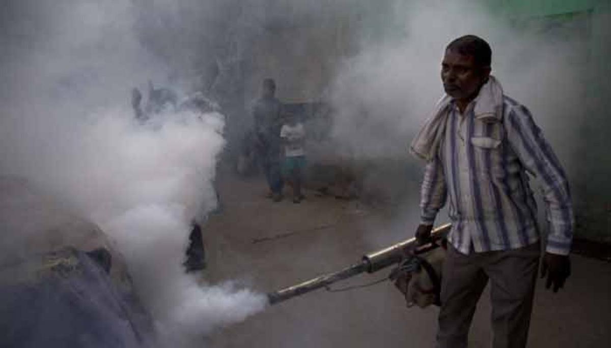 Delhi Govt. files status report on dengue before HC (Update)