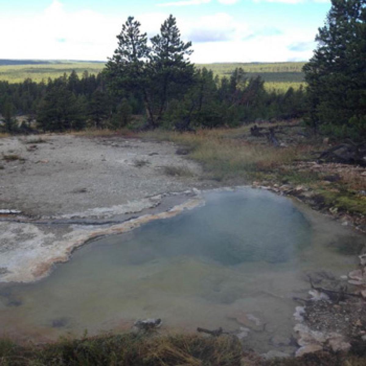 New microbes that thrive deep in the earth discovered