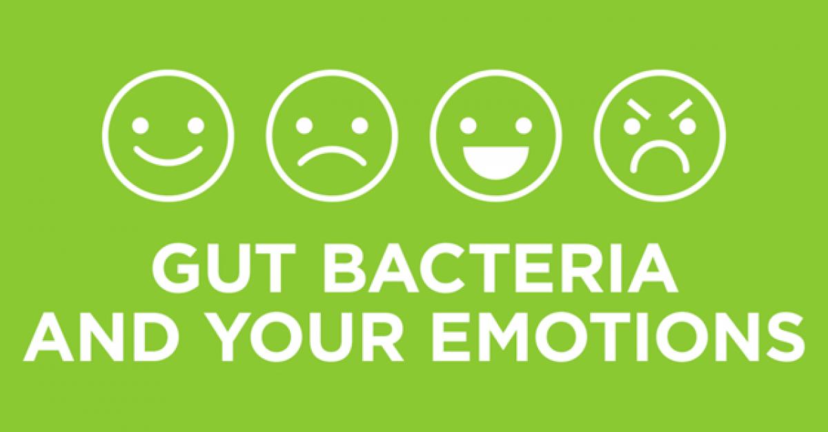 Gut bacteria can trigger depression