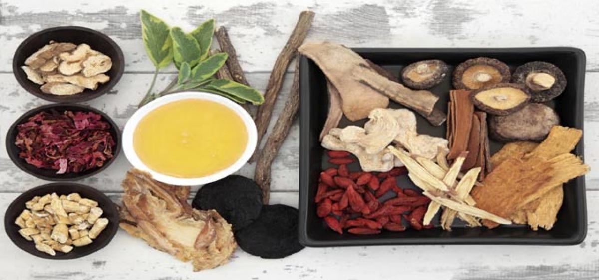 First law on traditional Chinese medicine adopted