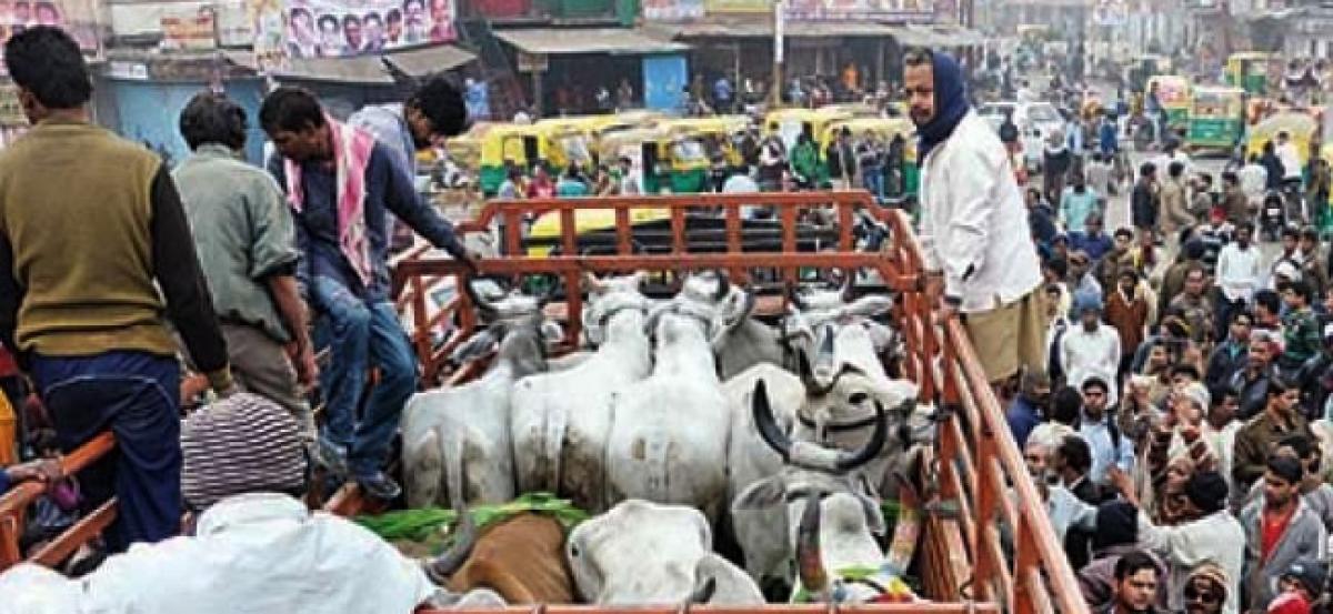 Cattle slaughter ban: Kerala Assembly to hold special session on June 8