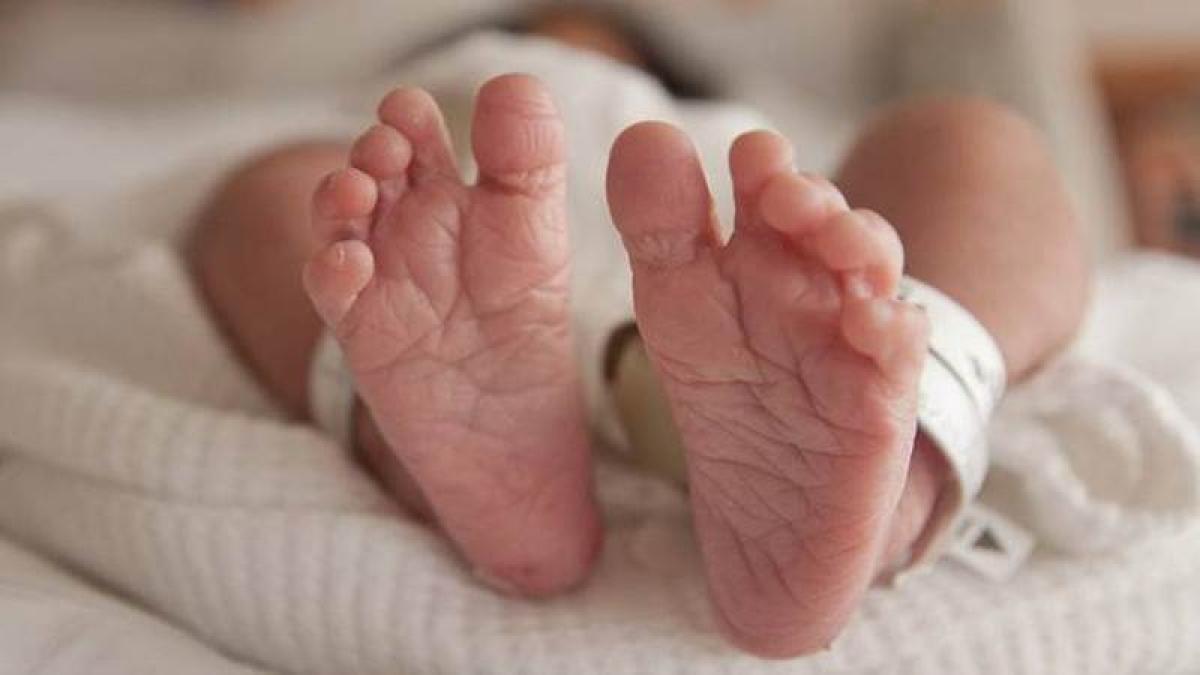 Death of four babies at hospital in Mumbai: Nurse held