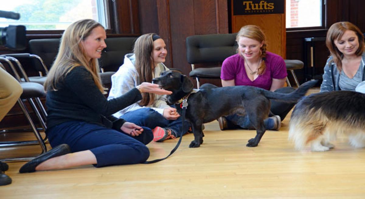 Therapy pets help fearful travellers