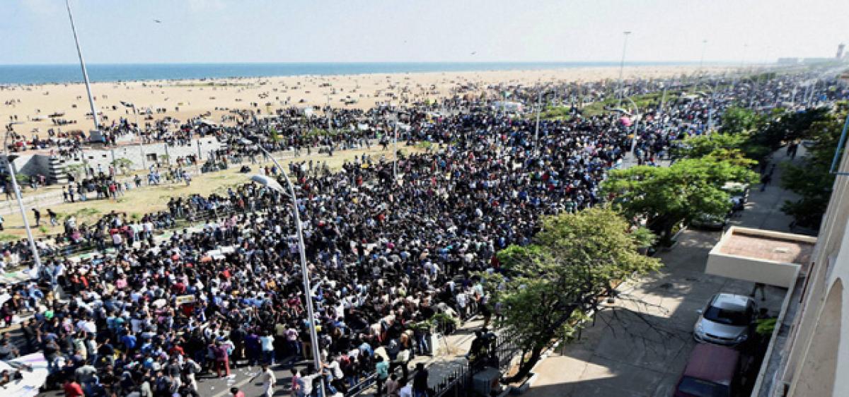 Massive uprising against jallikattu ban