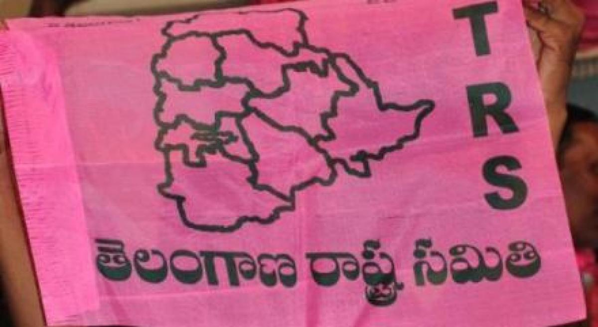 TRS MPs stage protest before PM