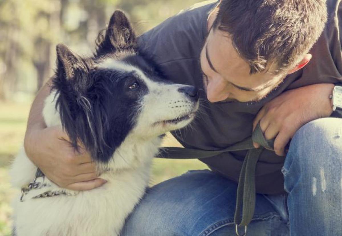 Picking up chicks a lot easier if you have a furry friend