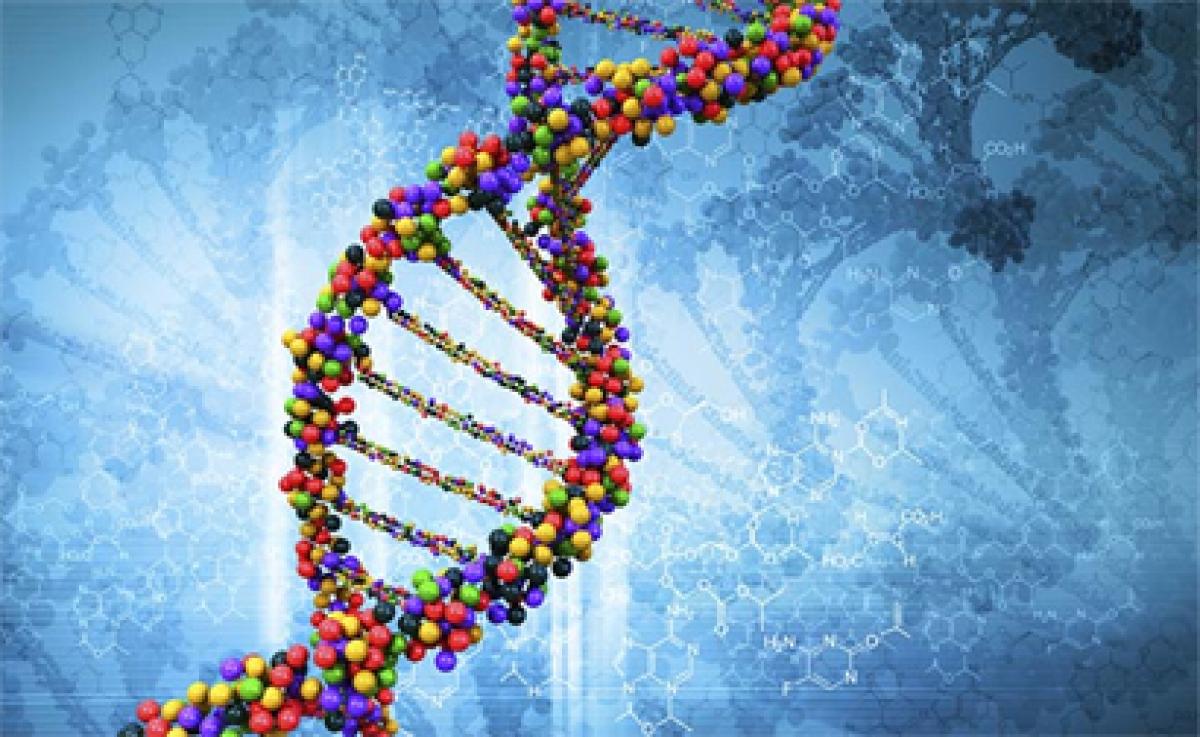 Can missing gene copy affect IQ levels?
