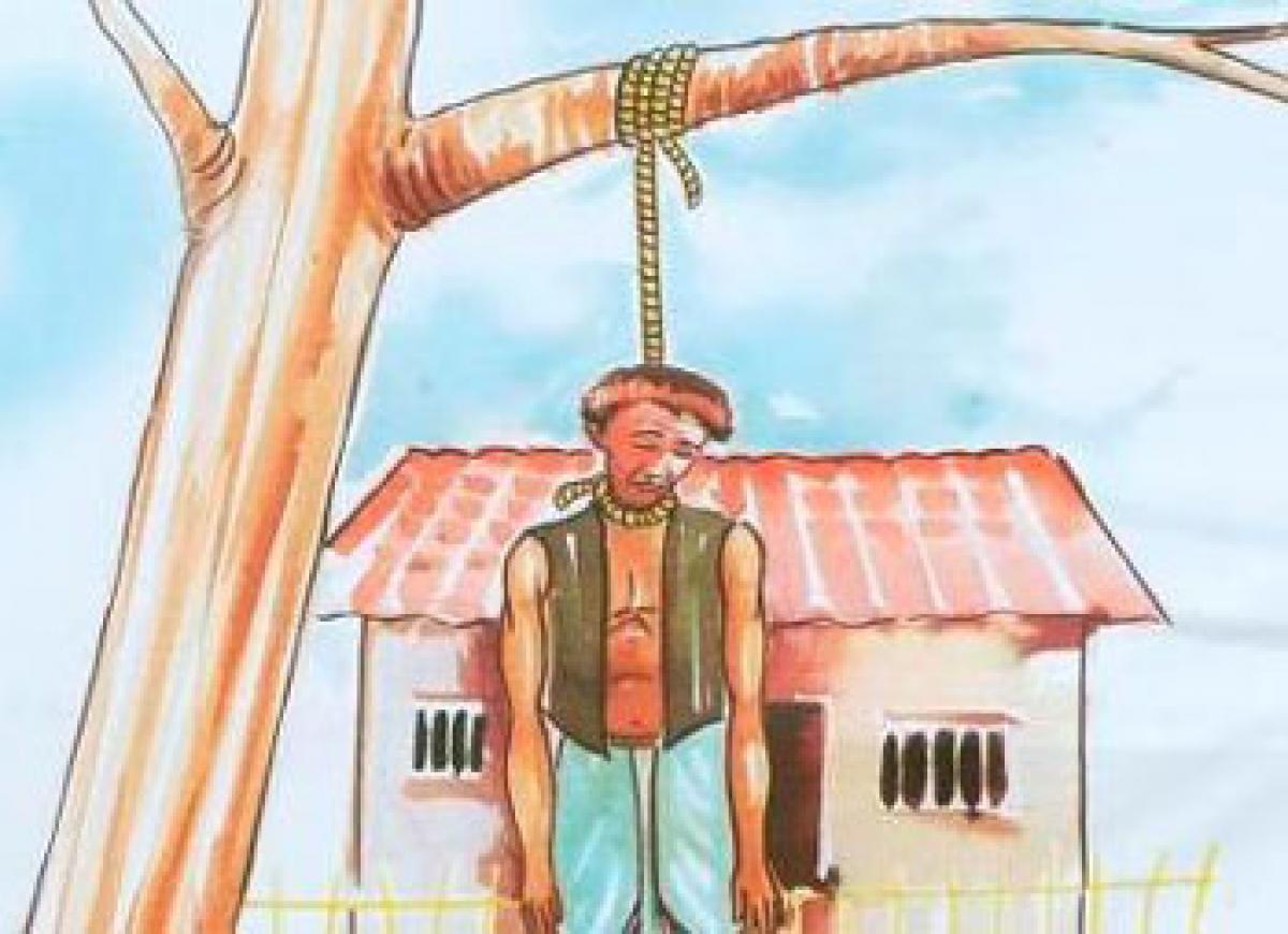 Farmer suicides leave kin high and dry