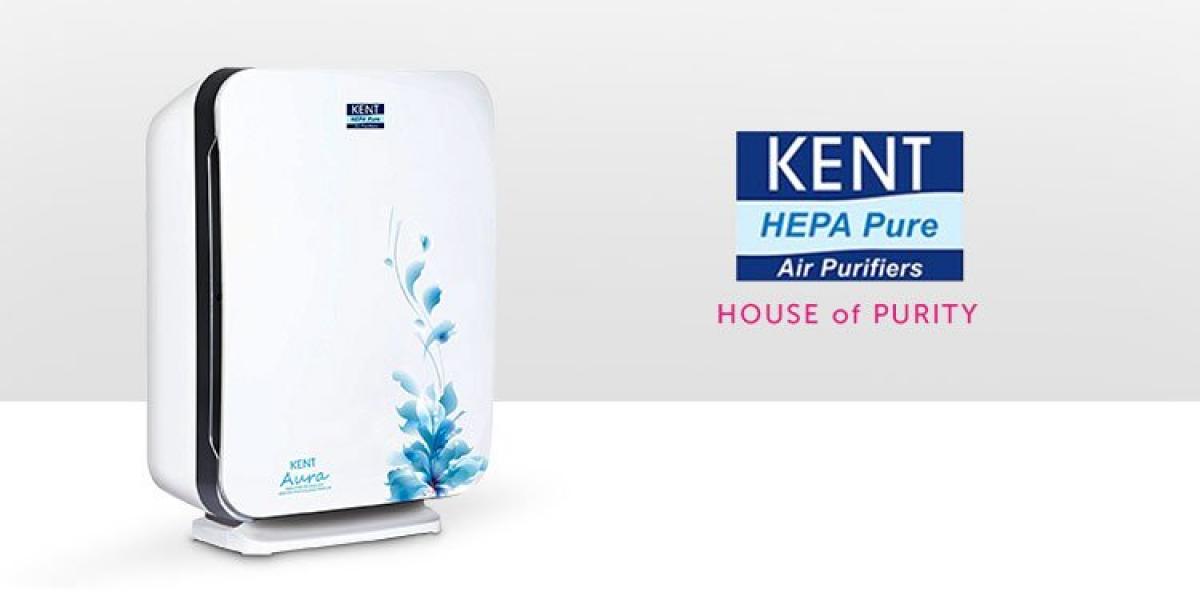 Air Purifier: A Fad or A Necessity& How to Buy the Right One
