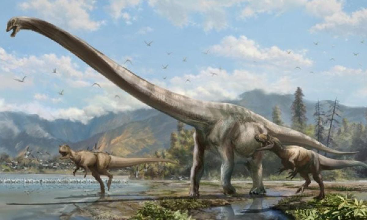 Scientists discover new species of long-necked dinosaur found in Australia