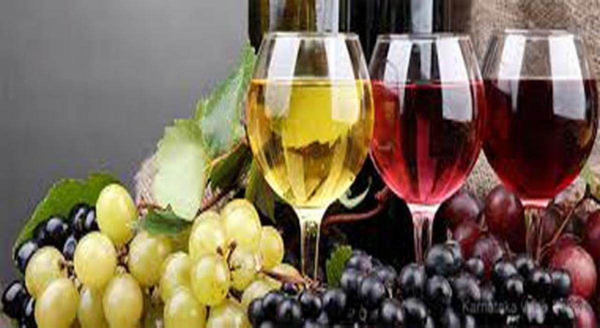 Plan to ramp up wine production in big way