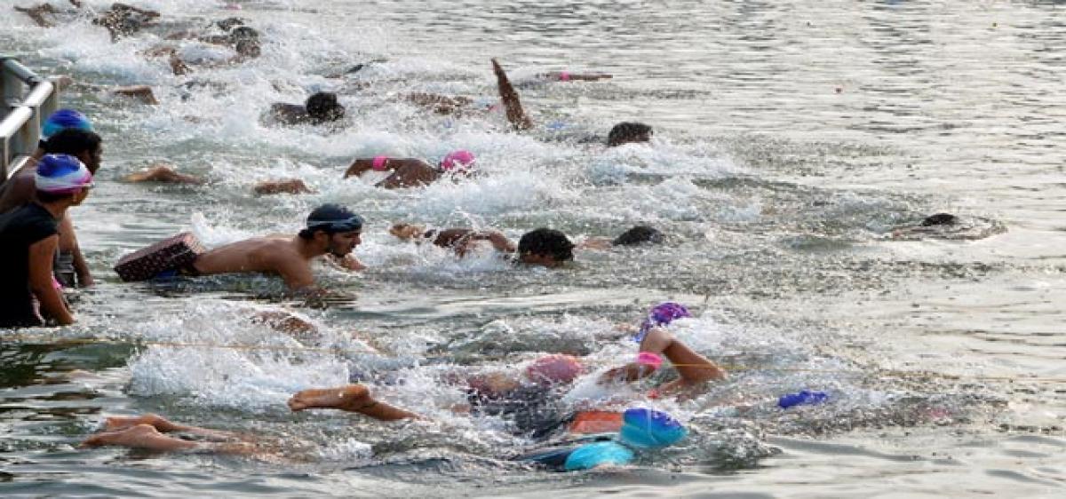 250 swimmers take part in Cross river contest