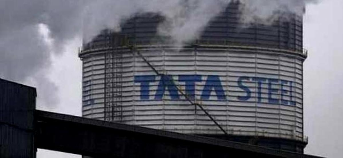 Financial statements true and fair view: Tata Steel