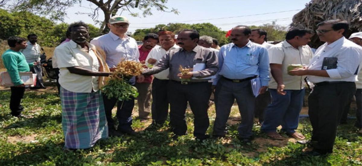 IRRI to set up Regional Innovative Centre in Nellore