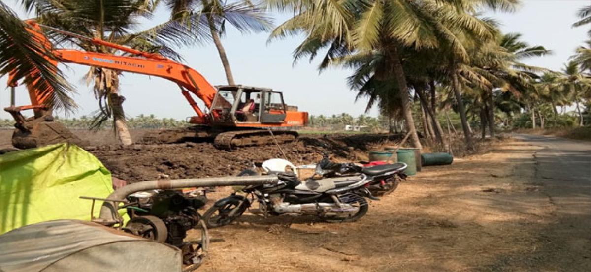 Digging of fish ponds goes unchecked