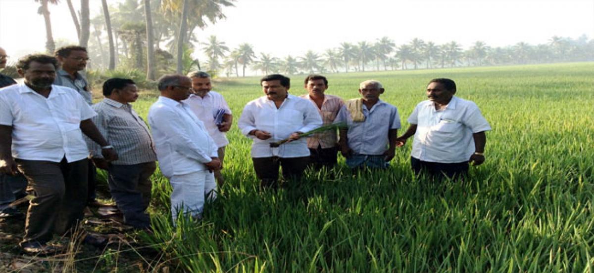 MLA assures farmers of water to all lands