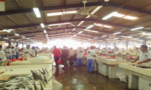 GHMC to construct four fish markets