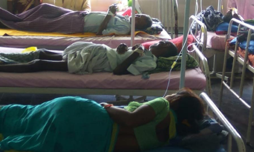 Fever cases on rise in district