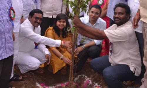 Make tree planting a habit: Sub-Collector