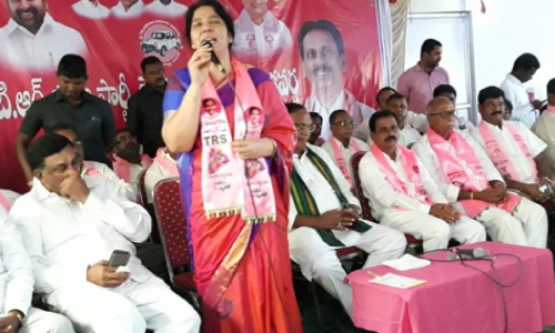 3 lakh party workers to attend TRS meet