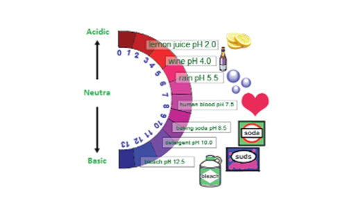 Acids, bases and water