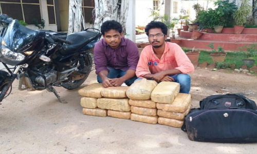 Brothers held for selling ganja