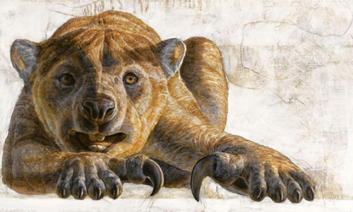 New species of extinct lion discovered in Australia