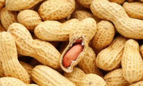 Eating peanuts while breastfeeding may protect your baby from allergies