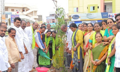 Plant saplings at Sagar road