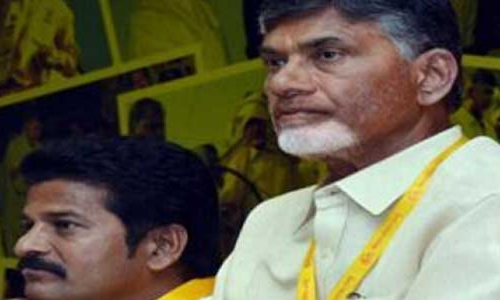 TDP caught in a bind