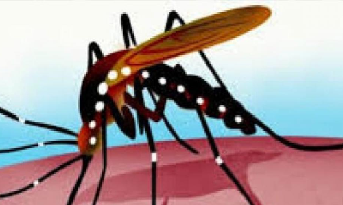 Dengue, malaria cases on rise
