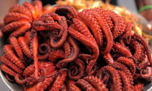 Japan’s oracle octopus, who rightly predicted World Cup matches turned into food dish