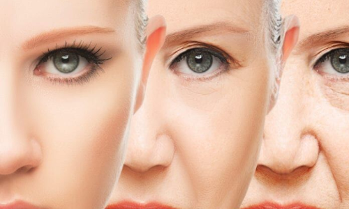 Slow down skin ageing
