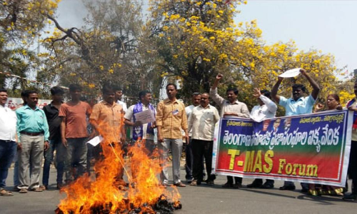 T-MAS burns BJP effigy