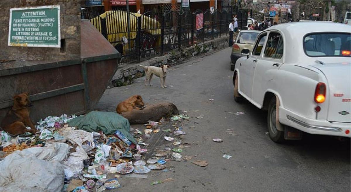 With no funds  Shimla stinks