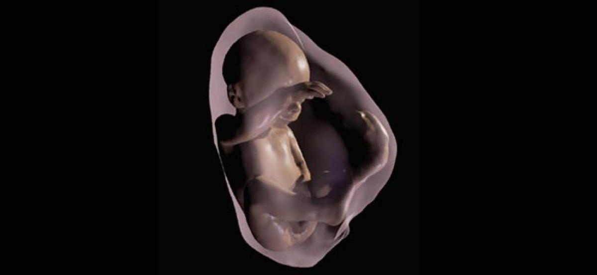 Now parents can see their unborn babies in 3D VR models