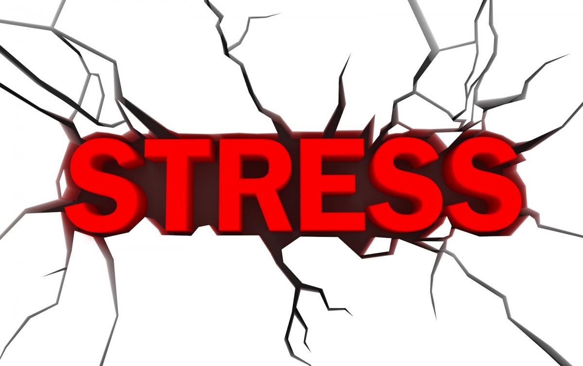 Stress – An Eternal Dilemma