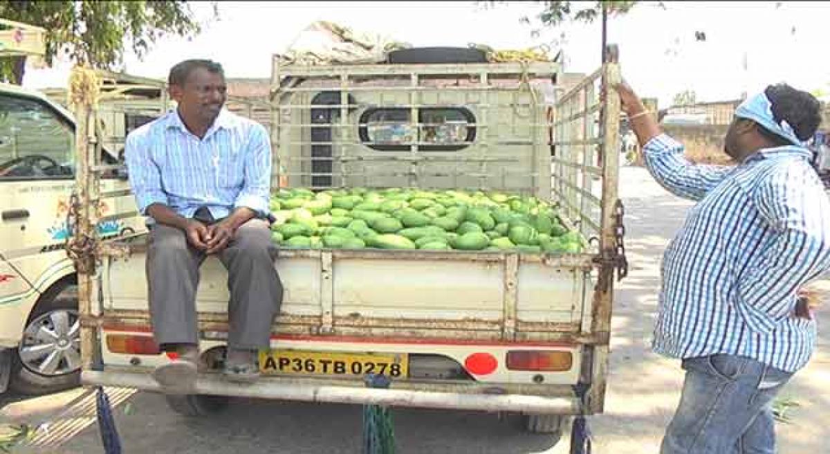 Mango growers left with bitter taste this season