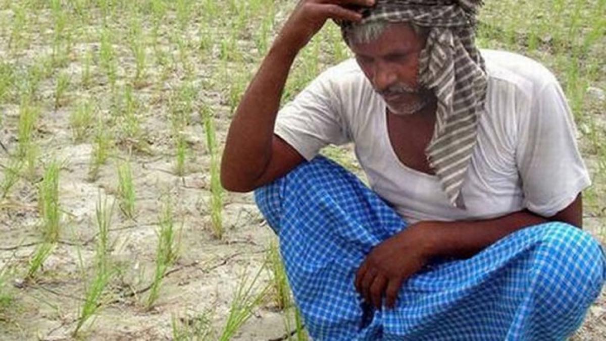 Govt charged with failure to help farmers in distress