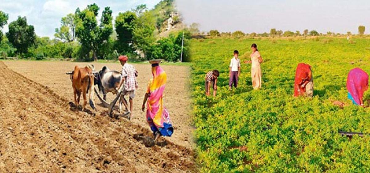 Rajasthan to set up first authority to guarantee land titles