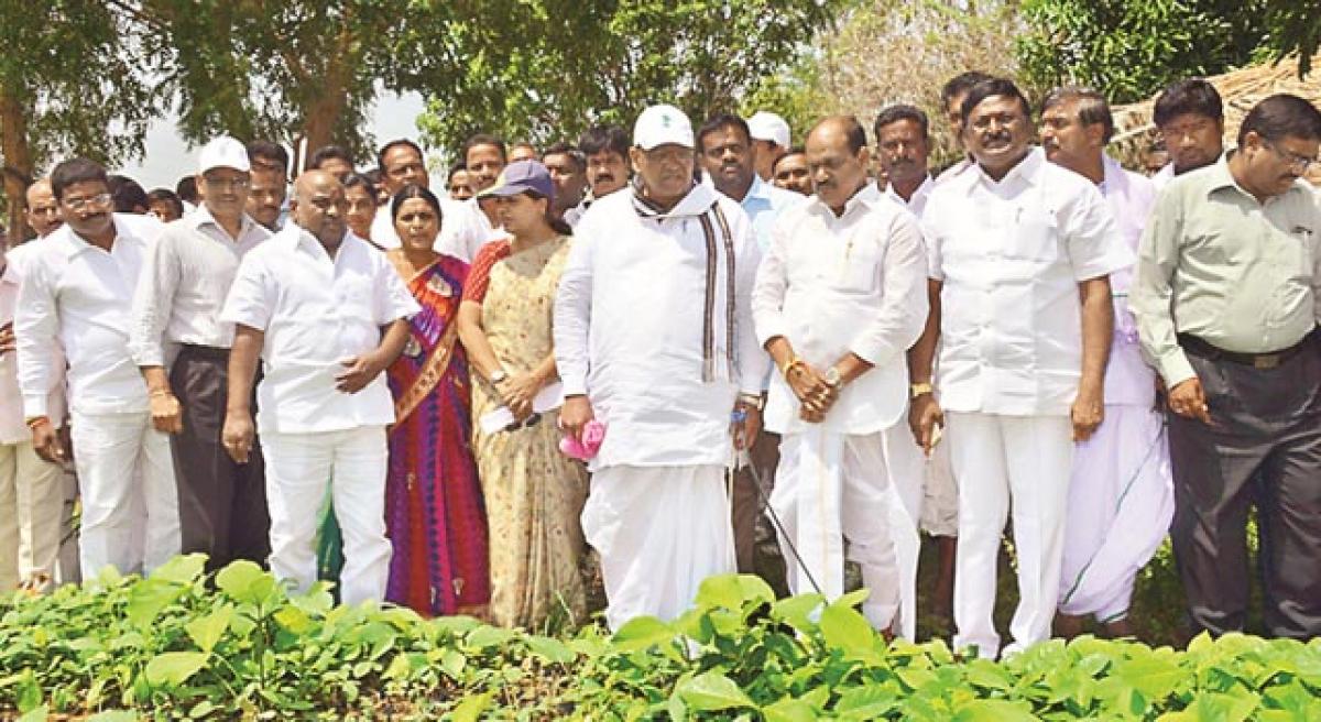 Make Green Telangana a reality: Jogu Ramanna