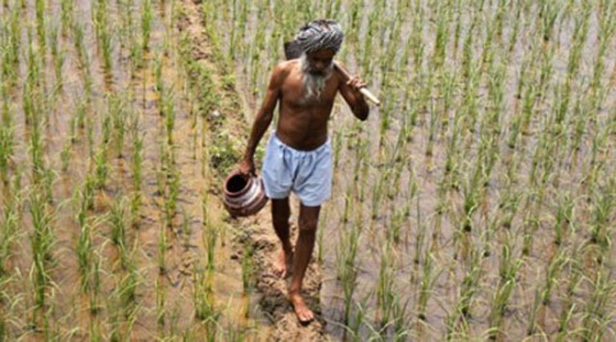 NCRB report on farmer suicides manipulated: Experts