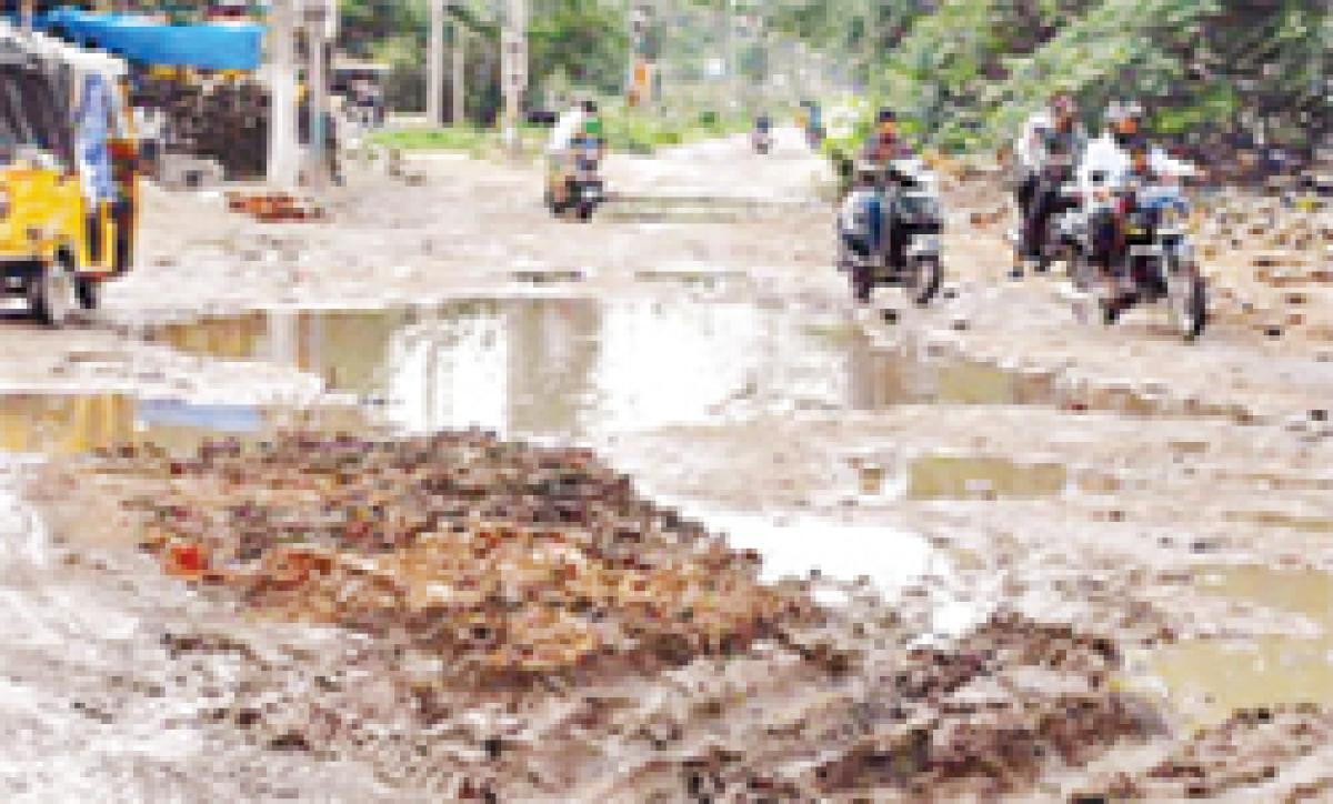 BJP protests over bad condition of city roads