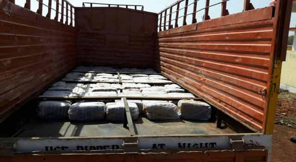 600 kg of ganja seized